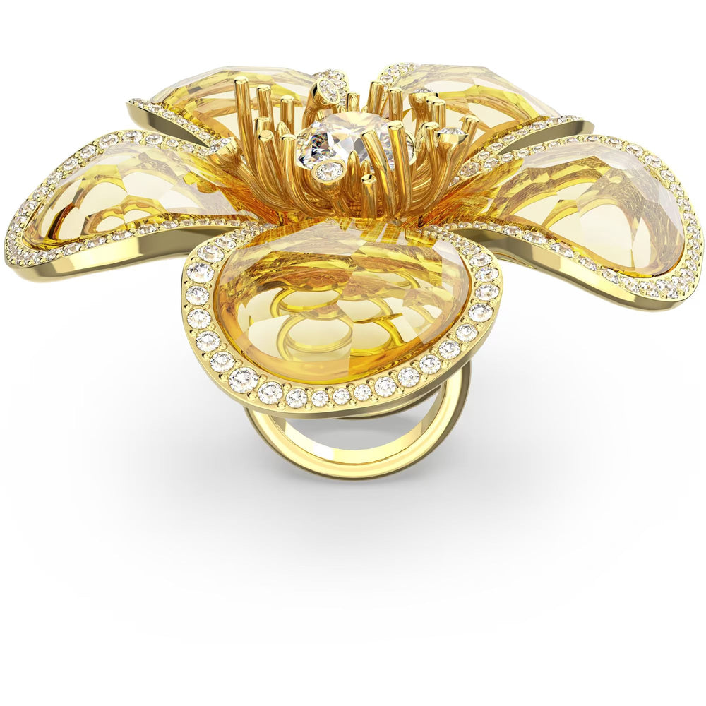 SWAROVSKI 5650566