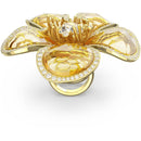 SWAROVSKI 5650566