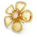 SWAROVSKI 5663073