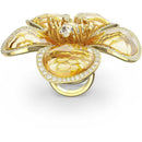 SWAROVSKI 5663073