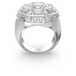 SWAROVSKI 5674299