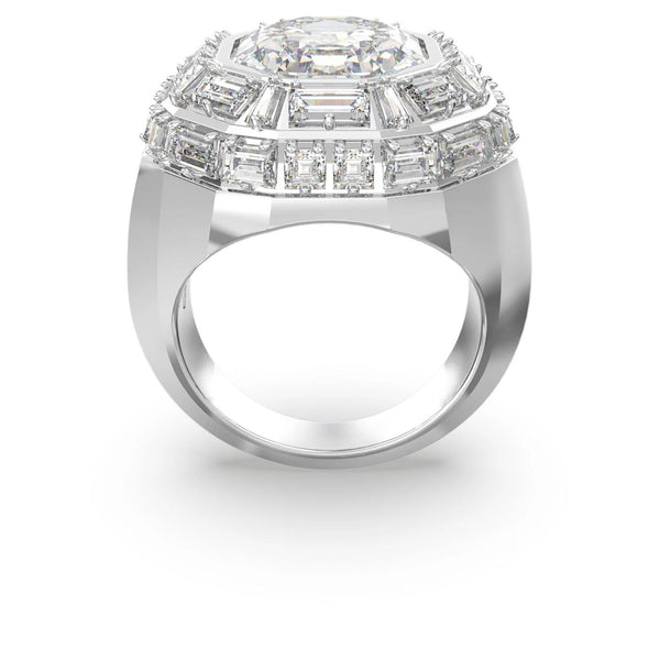 SWAROVSKI 5674299