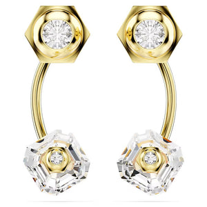 SWAROVSKI 5677980