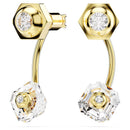 SWAROVSKI 5677980