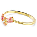 SWAROVSKI 5688482