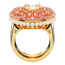 SWAROVSKI 5690058