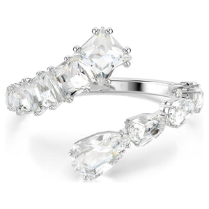SWAROVSKI 5692519