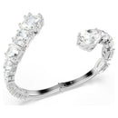 SWAROVSKI 5692519
