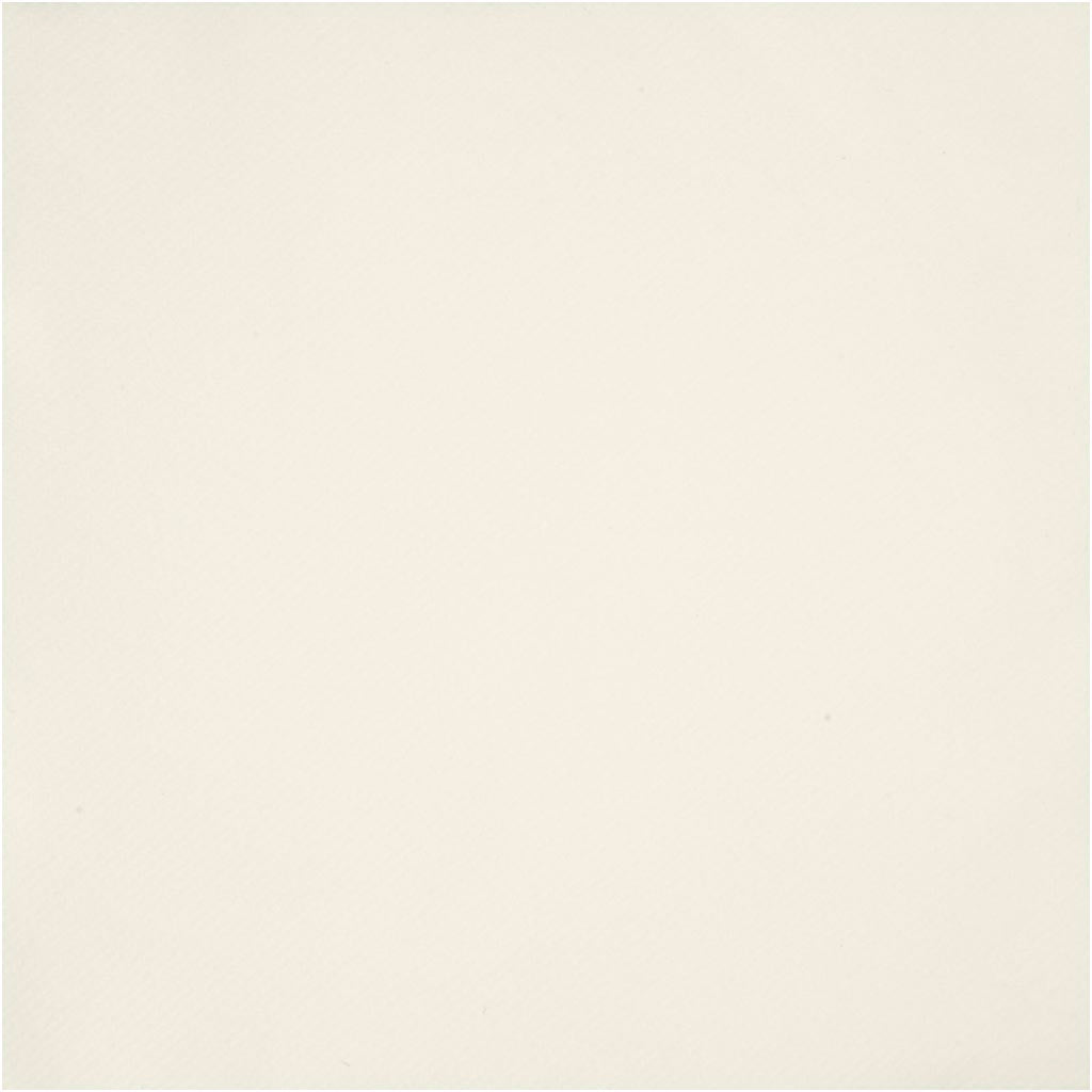Servietter, str. 40x40 cm, 60 g, råhvid, 20 stk./ 1 pk.
