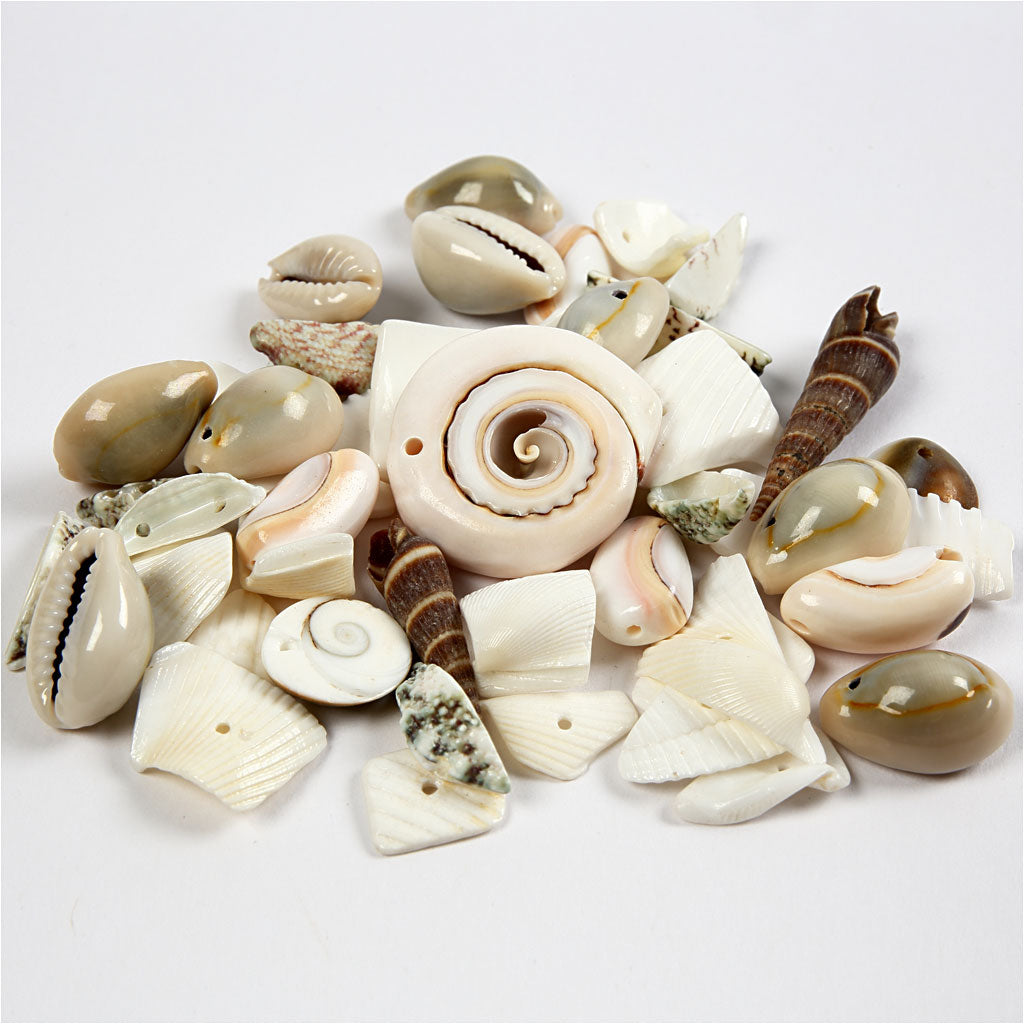 Strandskaller, str. 9-40 mm, hulstr. 1-1,5 mm, 120 g/ 1 pk.