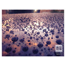 Autoglym Rapid Aqua Wax Kit 500 Ml.