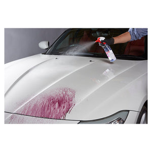Autoglym Magma kit 5L