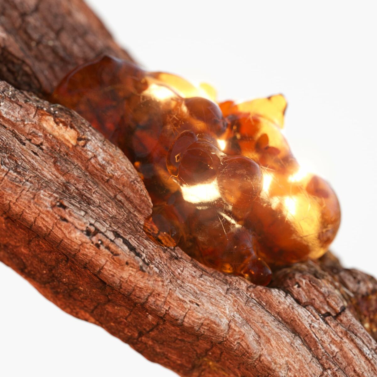 Herreparfume Tommy Hilfiger TOMMY NOW 100 ml