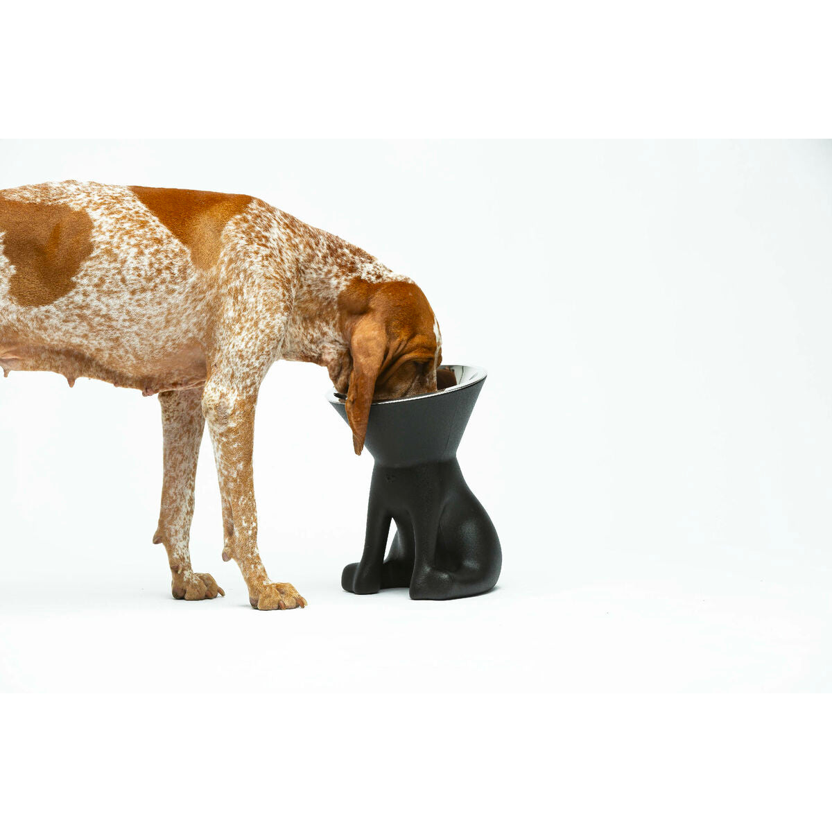 Hund Feeder United Pets Up Elisabeth Sort Rustfrit stål Polyetylen 1 L