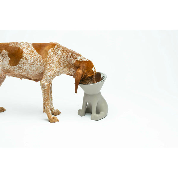 Hund Feeder United Pets Up Elisabeth Grå Rustfrit stål Polyetylen 1 L