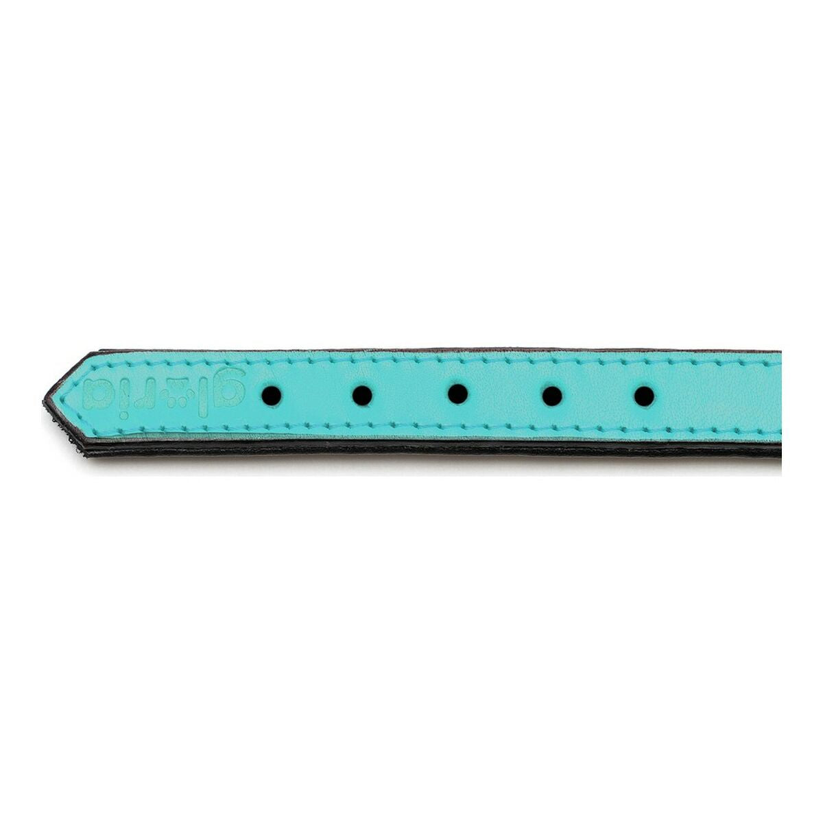 Hundehalsbånd Gloria Med puder Turquoise 45 cm (45 x 2 cm)