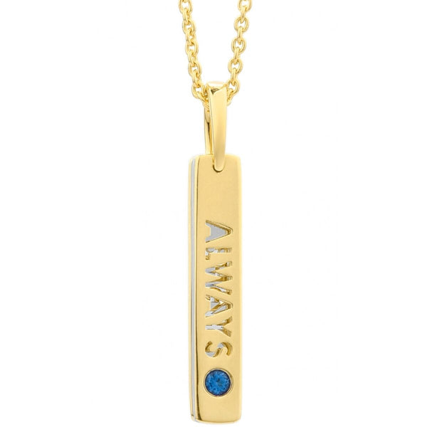 Halskæde til kvinder Secrecy P7162CDAWWC03 42 cm