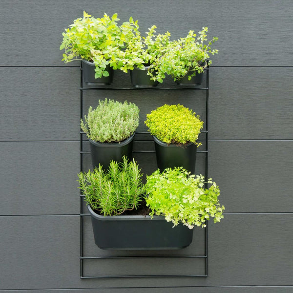 Nature Lodret Plantestativ Til Mur