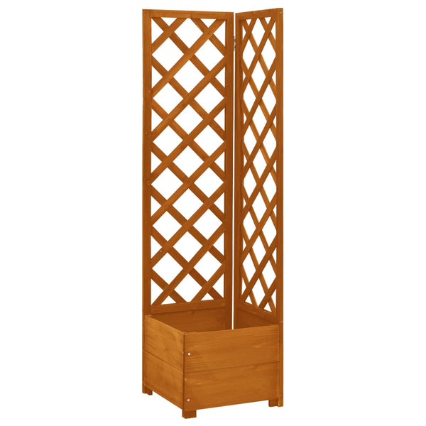 Plantekasse Til Hjørne M. Espalier 40X40X150 Cm Fyrretræ