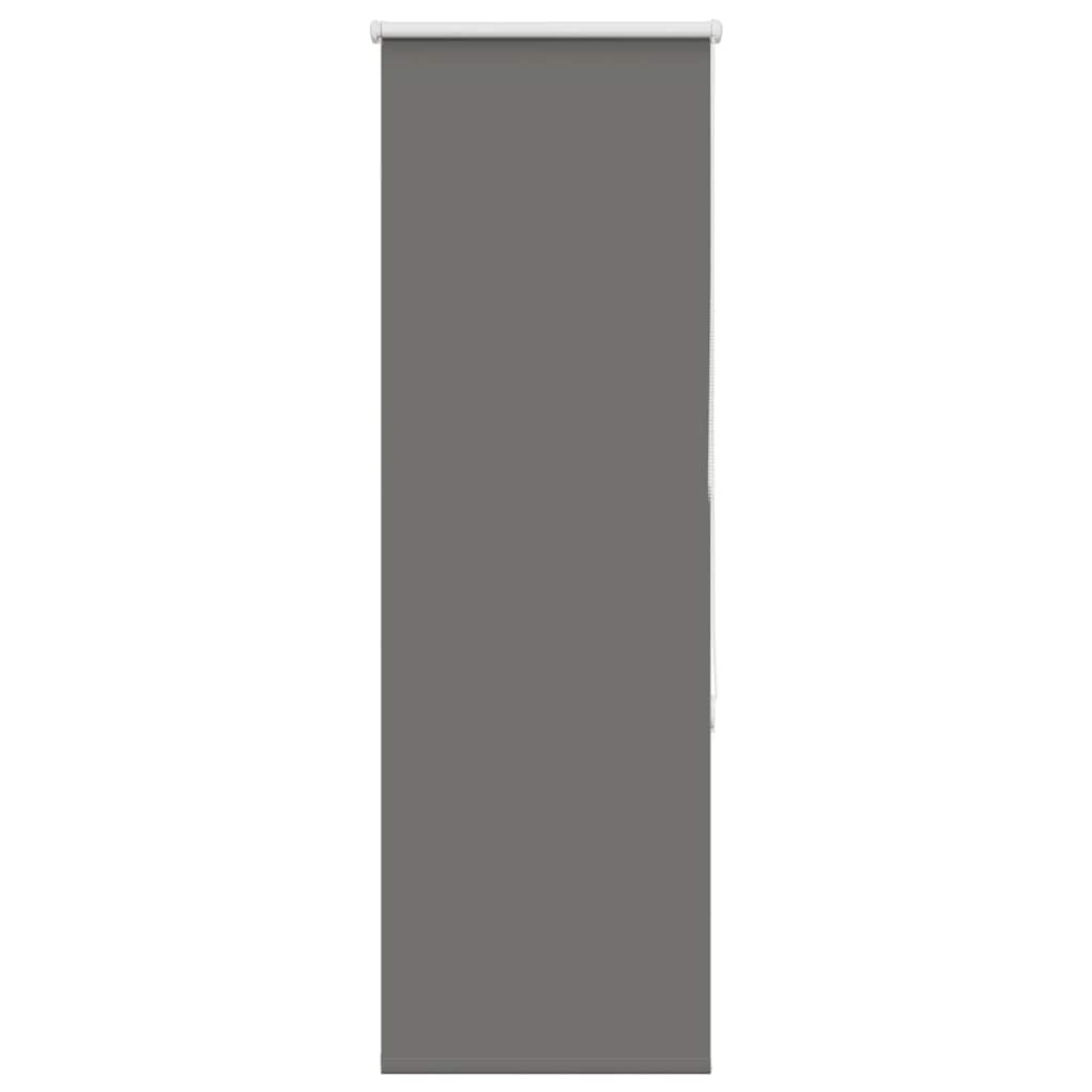 Rullegardin Mørklægning 40X Stofbredde 35,7 Cm Polyester Grå