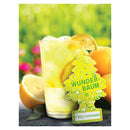 1 stk. Wunderbaum fizzy lemonade