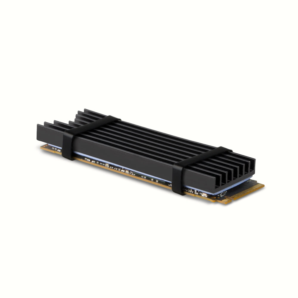 Axagon CLR-M2L6 Computerkølesystem M.2 NVMe SSD, Solid-state drev Køleplade/køler Sort 1 stk