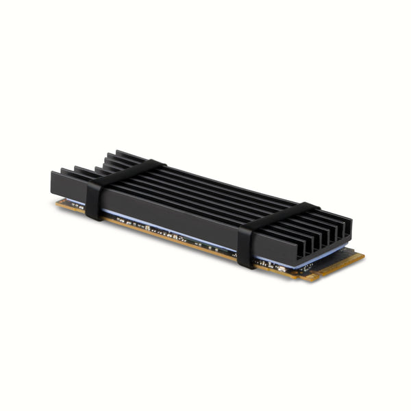 Axagon CLR-M2L6 Computerkølesystem M.2 NVMe SSD, Solid-state drev Køleplade/køler Sort 1 stk