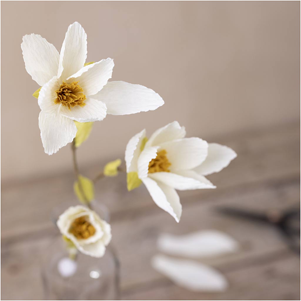 Mini DIY Kit Crepepapir, Magnoliagren, Stræk/crepe: 180%, 1 pk.