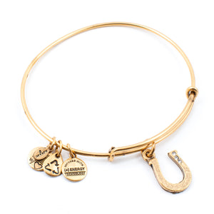ALEX AND ANI A09EB141RG