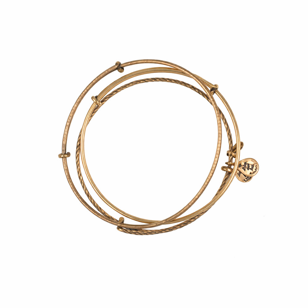 ALEX AND ANI A09EB150RG