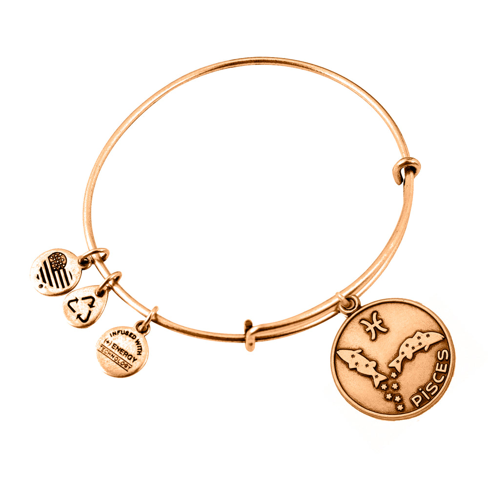 ALEX AND ANI A13EB01PIRG