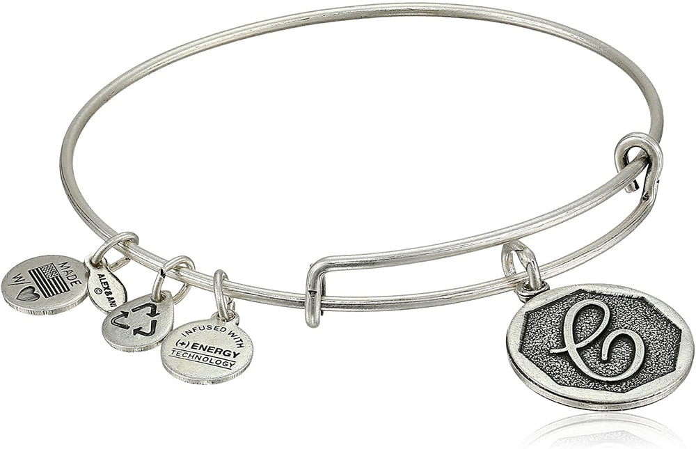 ALEX AND ANI A13EB14CS