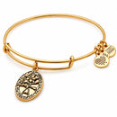 ALEX AND ANI A16EB13RG