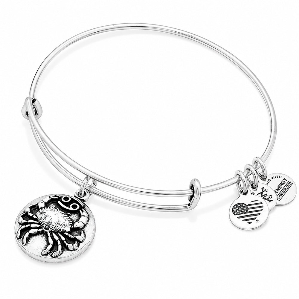 ALEX AND ANI A16EB52RS