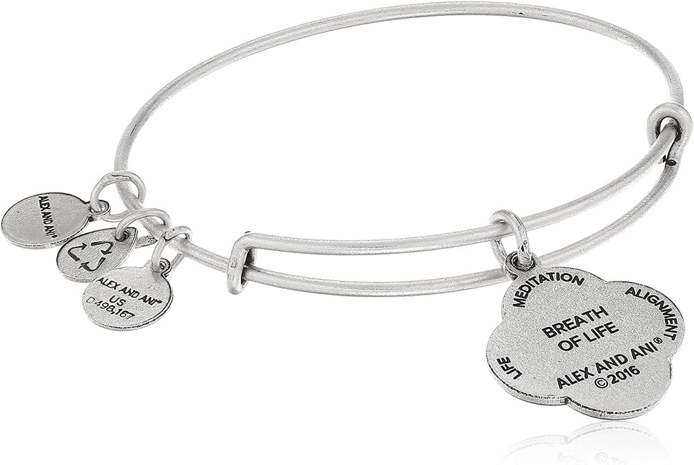 ALEX AND ANI A16EB67RS