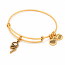 ALEX AND ANI A16EB68RG