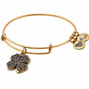 ALEX AND ANI A17EB28RG