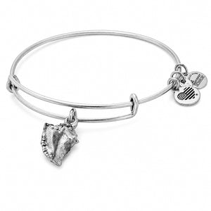 ALEX AND ANI A17EB73RS