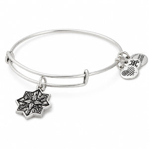 ALEX AND ANI A17EBHLRS