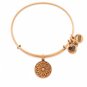 ALEX AND ANI CBD14NBRG