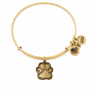 ALEX AND ANI CBD14POLRG