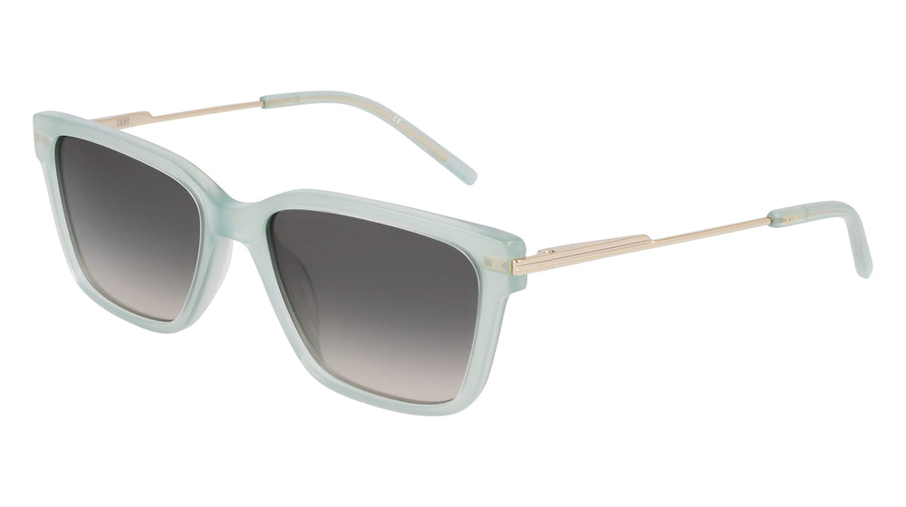DKNY DK713S5617310