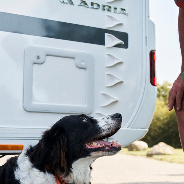 Ecokit50 - Campingvogn