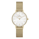 Daniel Wellington Petite hvidt dameur Dw00100662