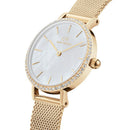 Daniel Wellington Petite hvidt dameur Dw00100662