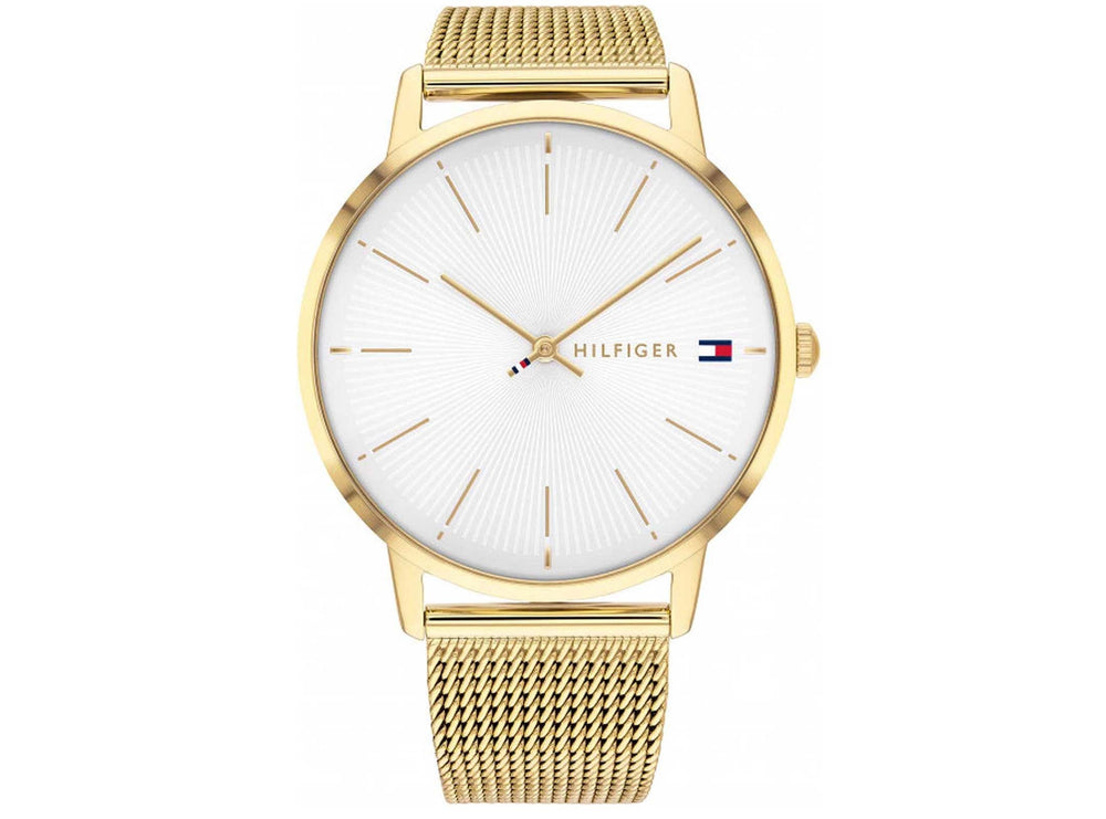 Tommy Hilfiger Alex 178 2245 ur