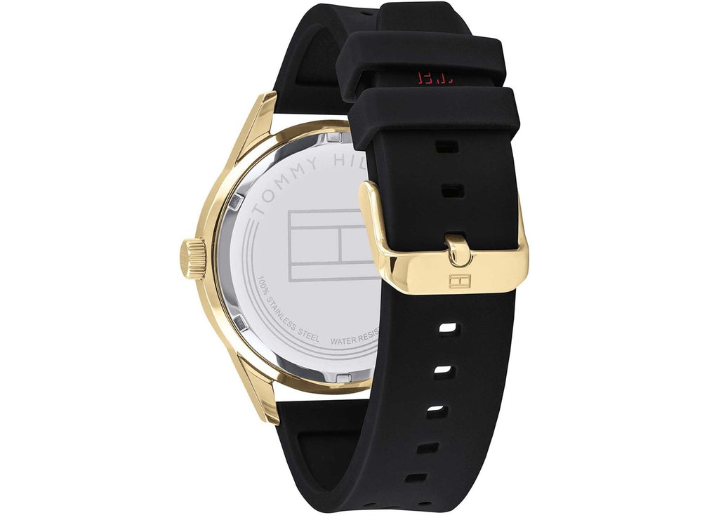 Tommy Hilfiger Austin 179 1636 ur