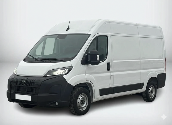 Boxer