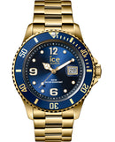 ICE IC016762
