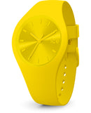 ICE IC017909